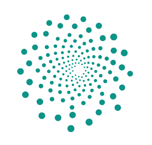 Zadein Logo